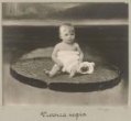 Dítě na listu Viktorie královské - reprodukce malby