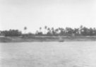 Vesnice na nilském břehu s palmami a plachetnicí