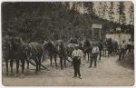 Doprava žulového bloku za pomocí koní (pohlednice - fotografie)