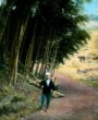 Rolník na cestě vedoucí kolem bambusového háje
