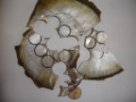 Postup výroby perleťových knoflíků