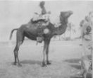 Tuareg s černým závojem (vyšší kasty) na jezdeckém velbloudu