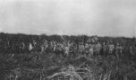 Dav mužů s oštěpy při dělení úlovku ve vysoké trávě u řeky