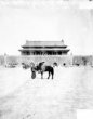Muž s osedlaným koněm před branou do císařských paláců