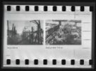 2 x fotografie, koncentrační tábor Bergen-Belsen a Malá pevnost v Terezíně