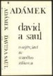 Návrh typografie - David a Saul