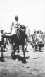 Záběr z jízdních her u Talodi - jezdec na koni, kmen Hamayd, společenství Baggara