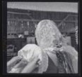 Dokončení úpravy hlavy - detail závoje mladé ženy se stříbrnými jehlicemi. Nosil se jen rok po svatbě do konce války