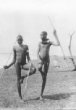 Dva mladí muži v typickém postoji na jedné noze, opření o oštěpy, Šilukové