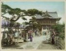 Gate of Kameido Temple Wisteria Tokyo
