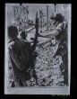 Fotografie, američtí vojáci ve Vietnamu vedou zajaté partyzány