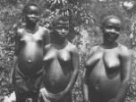 Tři stojící dívky, Bambuti