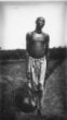 Postava muže v plátěných kalhotách se skarifikací hrudi a břicha, kmen Bari