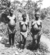 Tři stojící dívky v bederních zástěrkách, Bambuti