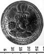 Sasánovská mince, Drachma, Ohrmazd II (303-9 n.l.)