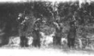 Čtyři ženy s holemi v rukou a nákladem na zádech, Babira nebo Balese