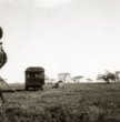 Automobil Schwarzenbergovy expedice s návnadou na laně a kolem lvi