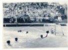 Všesvazové mistrovství ve vodním pólu. Moskva 1951