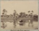 Vesnice u Nilu