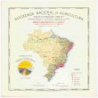 Mappa demographico do Bresil