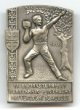 Odznak upomínkový - slavnost tělocvičného spolku Svornost ve Vratislavicích nad Nisou, 10. 8. 1913
