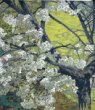 Strom bíle kvetoucí třešně