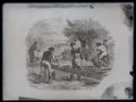 Kresba, muži při práci s káděmi a vyléváním vody odtokem