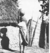 Žena stojící před chýší s hliněnou nádobou na hlavě, Šilukové