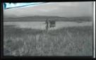 Tráva posečená v močálech u Keldudalu se sváží na saních