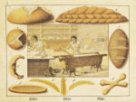 Výukový obraz – řemeslo pekařství