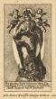 Milostná socha Imacculaty opavských františkánů