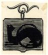 Motiv pro obálku - Hubená kočka